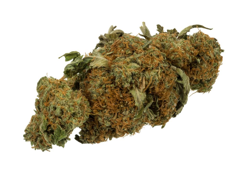 sex panther thca strain 